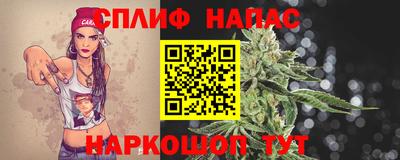 спиды Краснодар