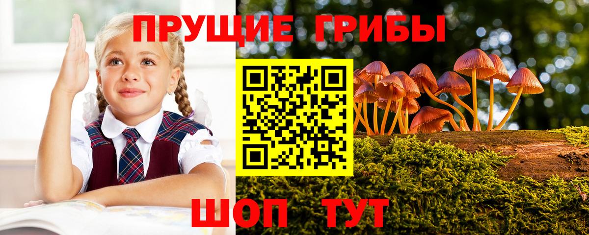 Галлюциногенные грибы Cubensis Арзамас
