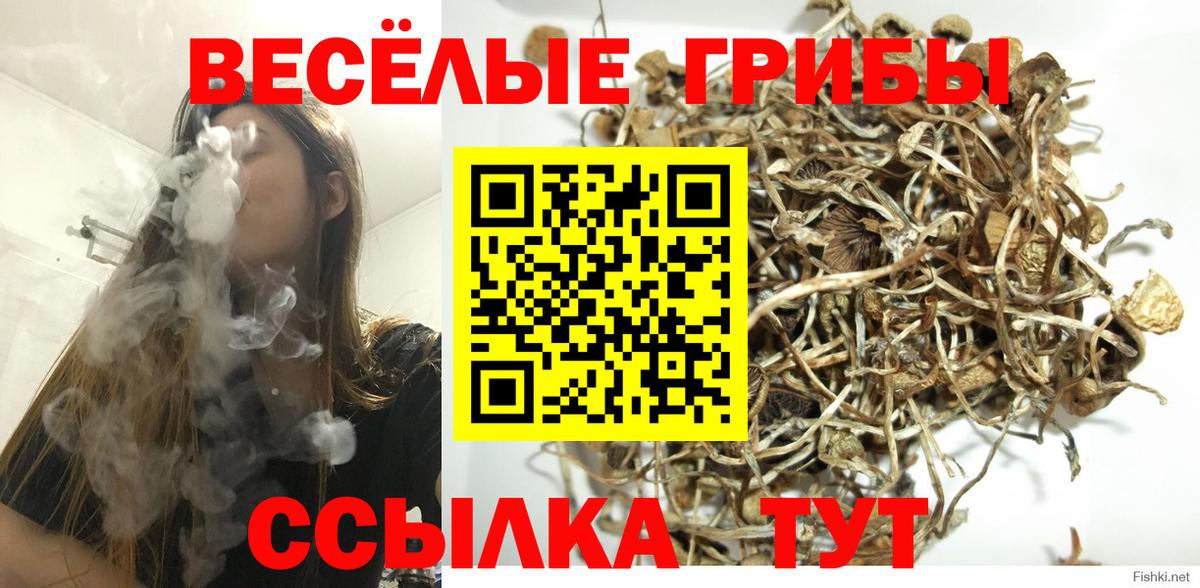 Псилоцибиновые грибы прущие грибы  сколько стоит  Вход с VPN  Арзамас  Галлюциногенные грибы GOLDEN TEACHER 
